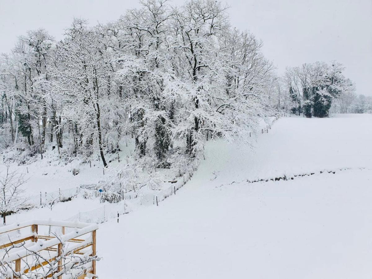 Le Lodge Du Pichat Sainte-Helene-du-Lac Esterno foto