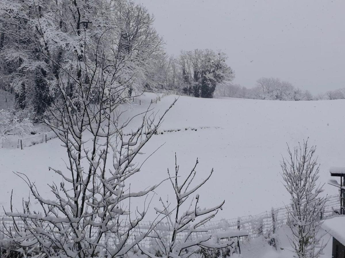 Le Lodge Du Pichat Sainte-Helene-du-Lac Esterno foto