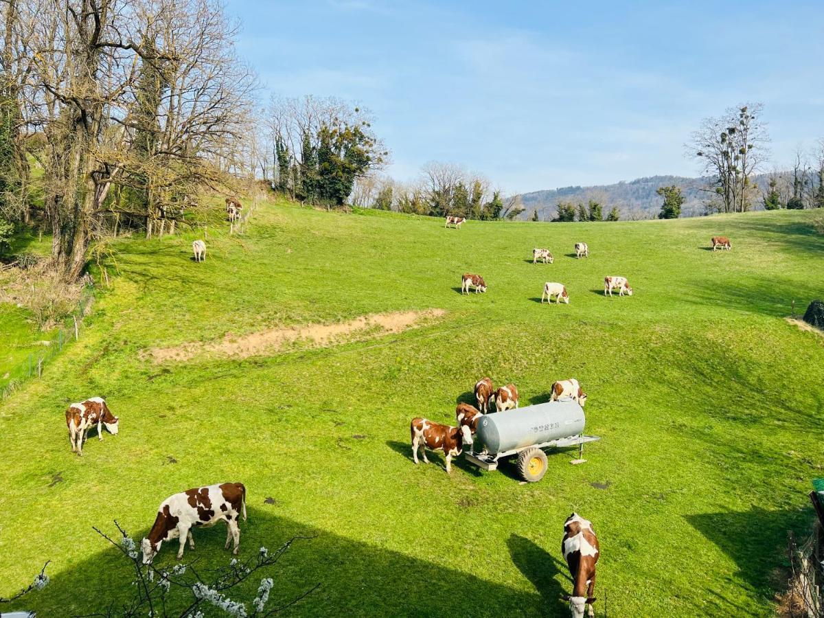 Le Lodge Du Pichat Sainte-Helene-du-Lac Esterno foto
