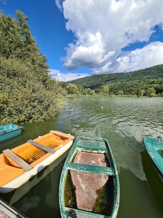 Le Lodge Du Pichat Sainte-Helene-du-Lac Esterno foto
